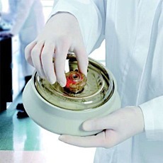 Thermo Scientific Heraeus ClickSeal Transparent Biocontainment Lid