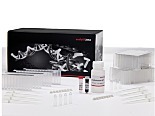 innuPREP核酸分离试剂盒，480个反应，由Analytik Jena提供