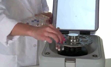 Cell Disruption: Sonication vs. Homogenization