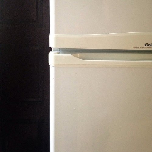 Choosing the Right Laboratory Refrigerator or Freezer